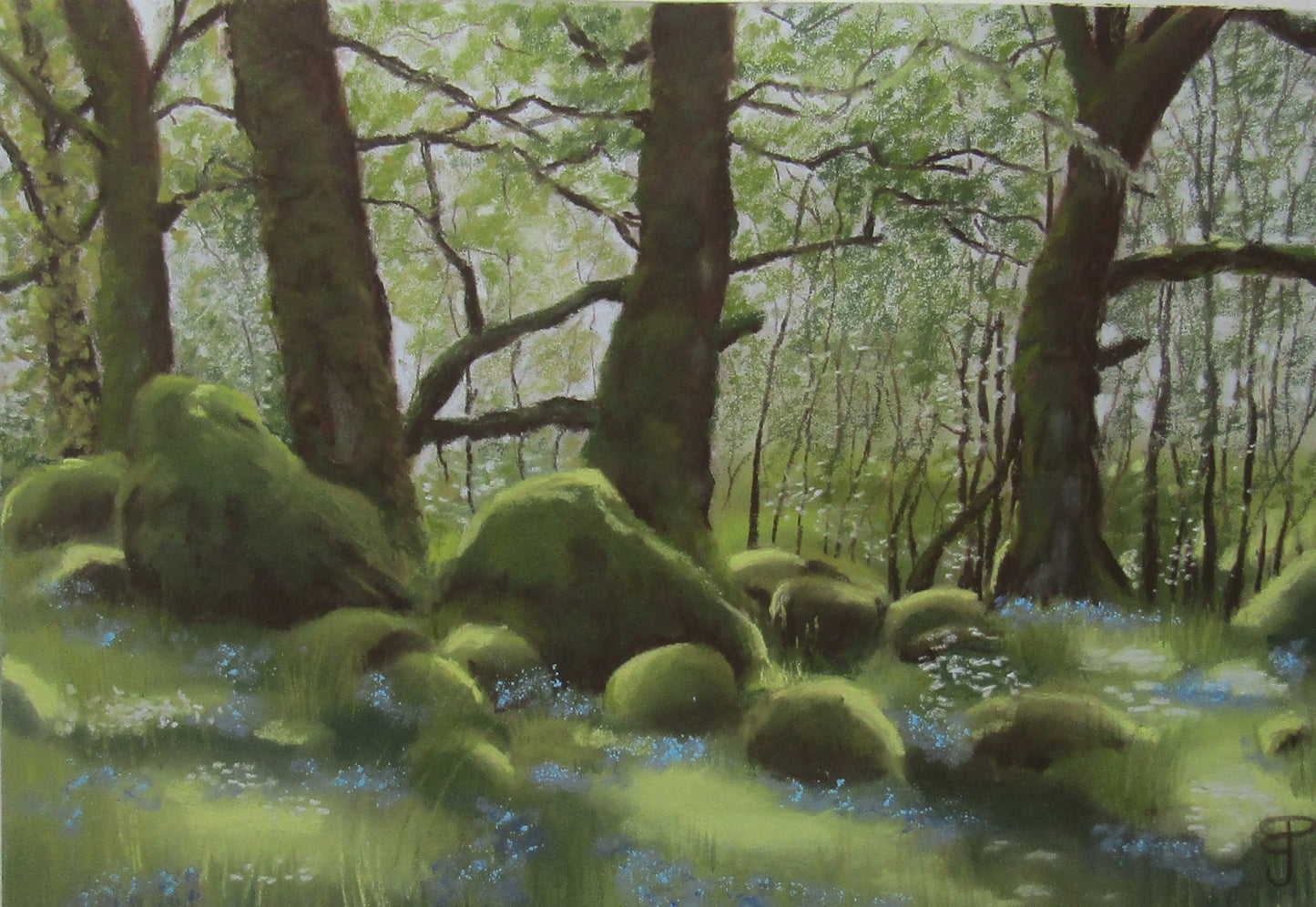 A soft focus pastel painting of mossy rocks amongst trees and blue flowers in Ariundle forest Ardnamurchan Scotlandn