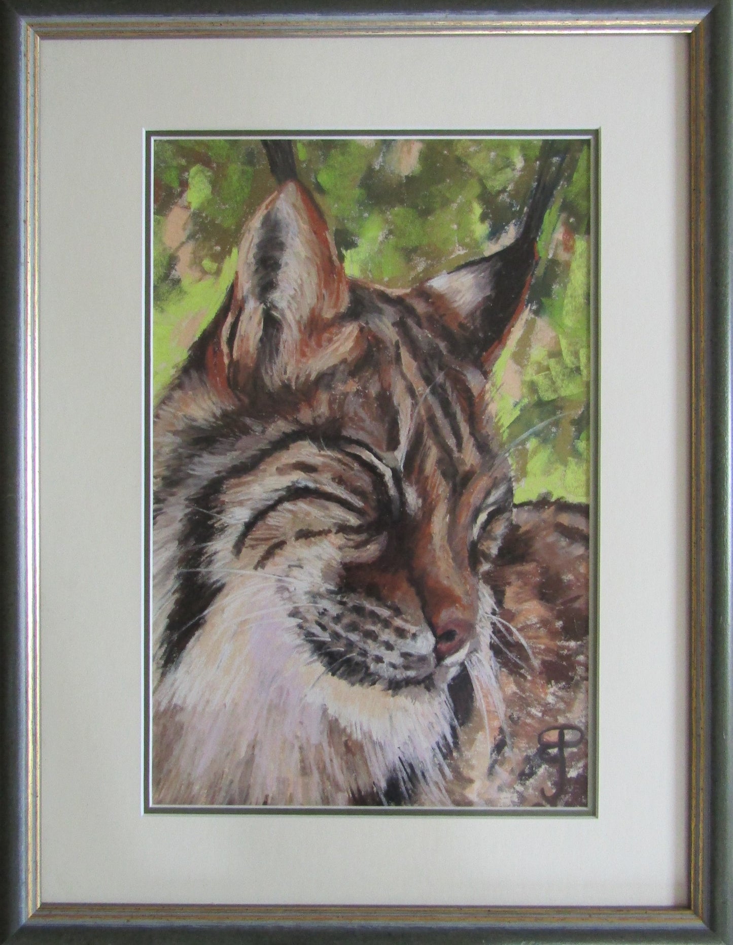 A well-contented Lynx