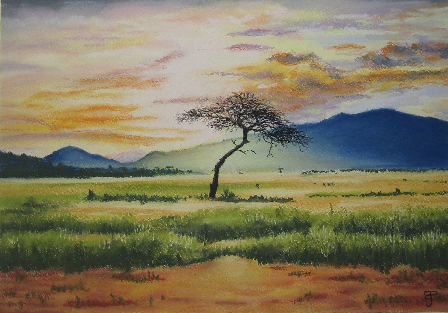 Lone Savannah Tree